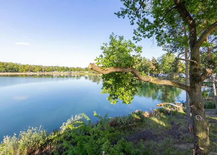 Semesterbostad Sea-lodge, Direkt Am See, Tiny House Dessau-Rosslau